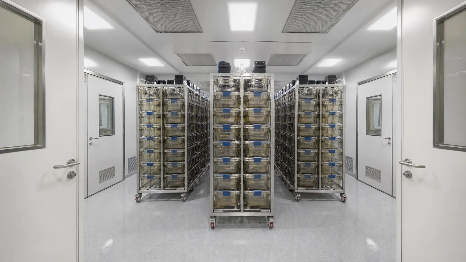 同类工程场景示意：SPF啮齿类动物屏障设施与IVC独立通风笼具