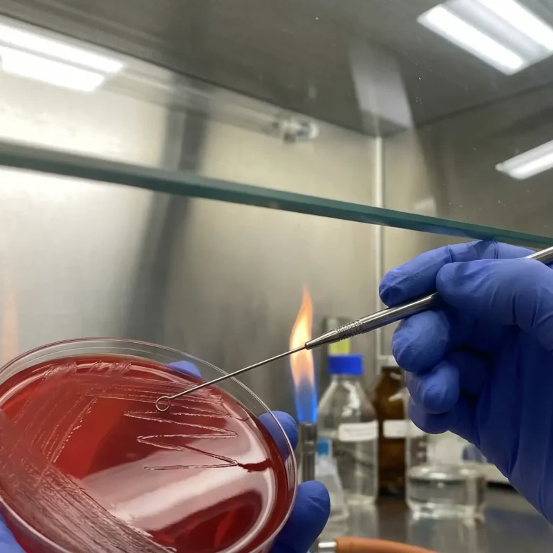 制药厂QC微生物限度与无菌检查实验室净化工程（GMP标准）