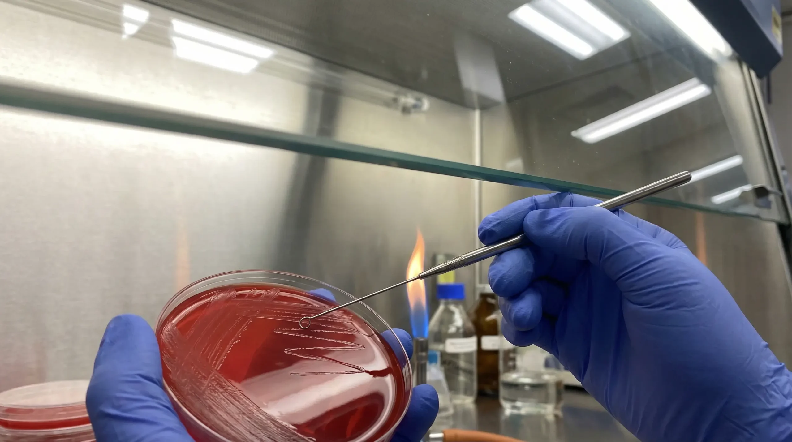 制药厂QC微生物限度与无菌检查实验室净化工程（GMP标准）